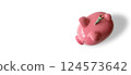 A piggy bank with money and white background. 124573642