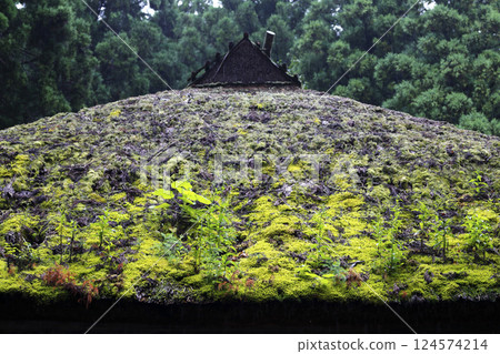 A temple in the mountains. Moss and grass grow on the old thatched roof, creating a beautiful green look. A temple in the mountains. Moss and grass grow on the old thatched roof, creating a beautiful green look. 124574214
