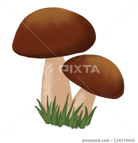 Hand drawn simple mushrooms, fungus forest wood fungi. brown woodland nature botanical illustration bolete chanterelle wild fall autumn edible cooking foraging. 124574420
