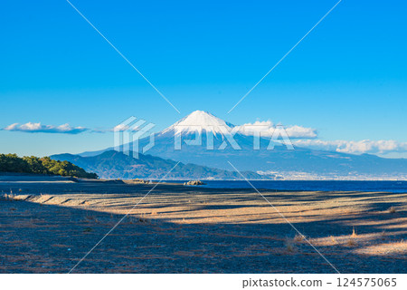 [World Heritage] Miho no Matsubara and Mt. Fuji 124575065
