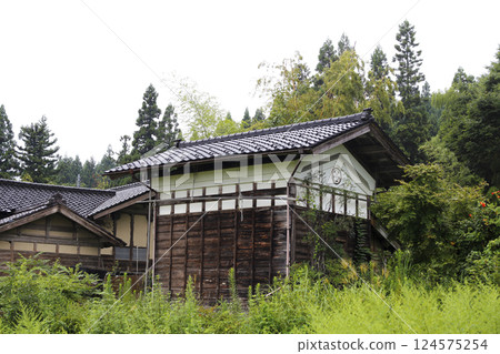 鄉村小路風景：夏草覆蓋的老房子裡的倉庫 124575254