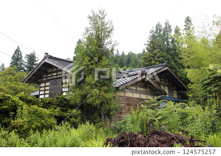 鄉村道路風景：夏草覆蓋的老房子 124575257