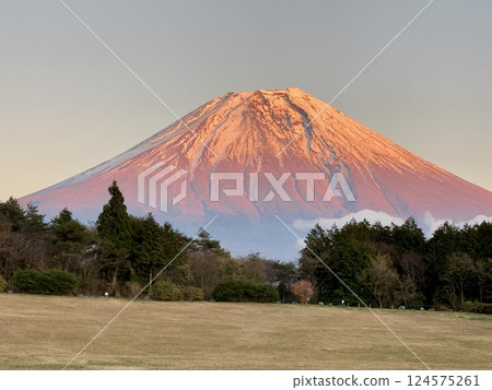 從朝霧高原觀賞日出富士山 124575261