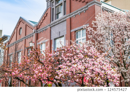 Osaka Mint Bureau Sakura walk through 124575427