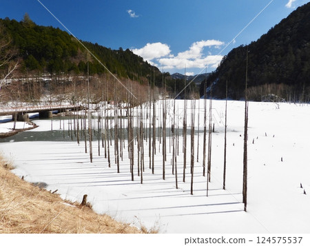 Otaki Natural Lake in early spring 124575537