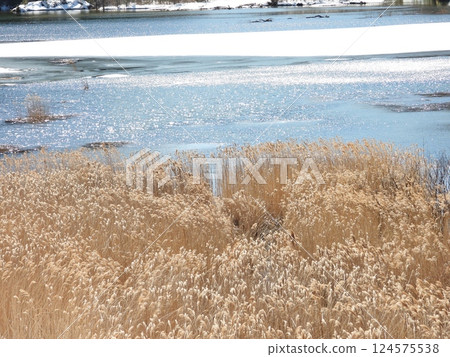 Early spring scenery at Suikoen in Otaki Village Early spring scenery at Suikoen in Otaki Village 124575538