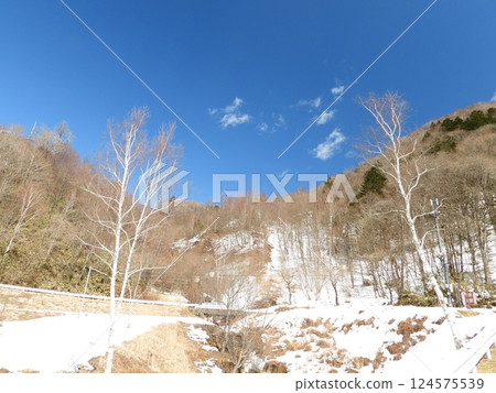 Early spring scenery upstream of Suikoen 124575539