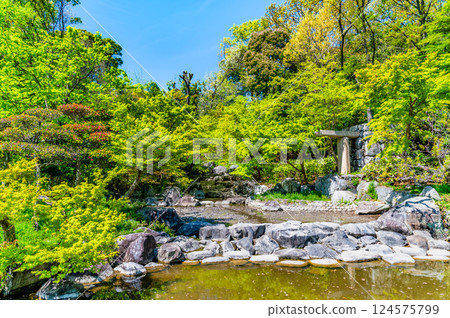 Osaka Flower Expo Memorial Park Tsurumi Ryokuchi Japanese Garden 124575799