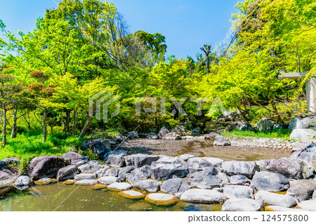 Osaka Flower Expo Memorial Park Tsurumi Ryokuchi Japanese Garden 124575800