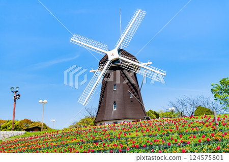 大阪花博紀念公園 鶴見綠地 風車之丘 124575801