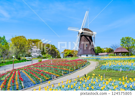 Osaka Flower Expo Memorial Park Tsurumi Ryokuchi Windmill Hill Osaka Flower Expo Memorial Park Tsurumi Ryokuchi Windmill Hill 124575805