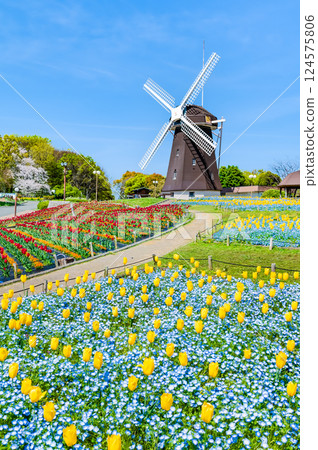 Osaka Flower Expo Memorial Park Tsurumi Ryokuchi Windmill Hill 124575806