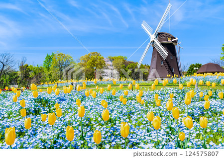 大阪花博紀念公園 鶴見綠地 風車之丘 124575807