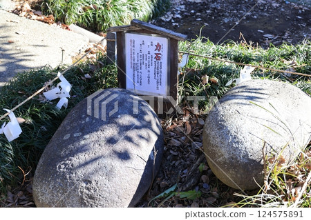 埼玉縣南埼玉郡宮代町姬宮神社的力石(能量石) 埼玉縣南埼玉郡宮代町姬宮神社的力石(能量石) 124575891