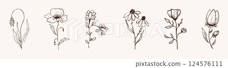 Floral botanical feminine wild flower summer line sketch drawing. Trendy minimal elements wedding herbs, minimalistic flowers with elegant leaves. Tiny tattoo, elegant rustic 124576111