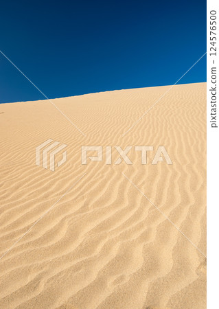 Tottori Sand Dunes: Beautiful sand ripples and blue skies 124576500