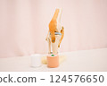 Knee model 124576650