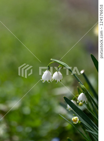 Spring awakening Spring awakening 124576658