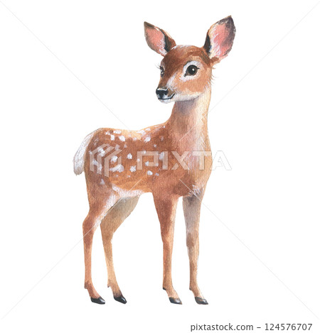 Young forest deer, fawn on white background. Watercolor bambi illustration. Wild young deer animal with white back spots. Perfect for winter and Christmas designs, greeting cards, holiday decorations Young forest deer, fawn on white background. Watercolor bambi illustration. Wild young deer animal with white back spots. Perfect for winter and Christmas designs, greeting cards, holiday decorations 124576707