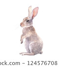 Watercolor illustration of a cute rabbit, hare standing on its hind legs. Hand-painted in soft natural tones. Perfect for Easter designs, greeting cards, wildlife themes, and rustic decor. 124576708