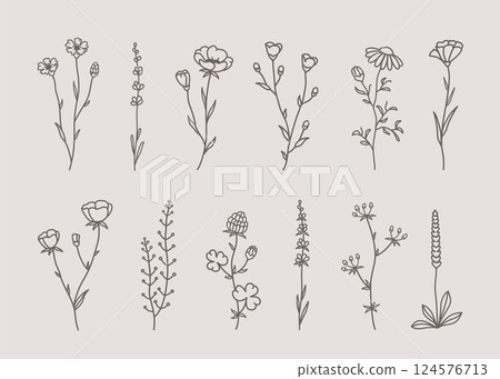 Vector set wild flowers, herbs, plants 124576713