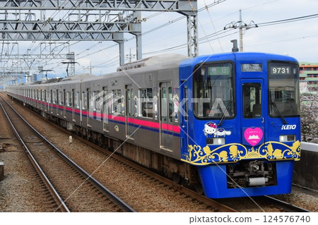 京王9000系列第30系列更新後9731F第3代Sanrio包裝列車 京王9000系列第30系列更新後9731F第3代Sanrio包裝列車 124576740