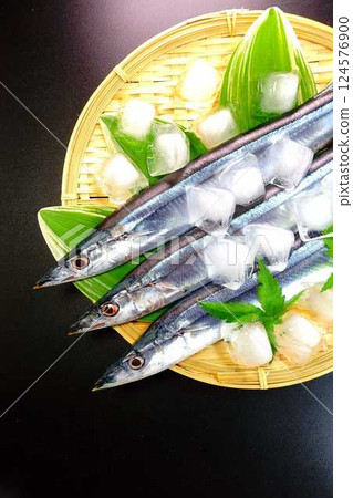 Sanma Sanma Sanma Sanma Sanma Sanma 124576900