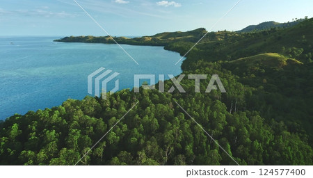 Aerial view captures the breathtaking meeting point of a lush tropical forest and the vast, crystal-clear ocean, showcasing the beauty and tranquility of nature Aerial view captures the breathtaking meeting point of a lush tropical forest and the vast, crystal-clear ocean, showcasing the beauty and tranquility of nature 124577400