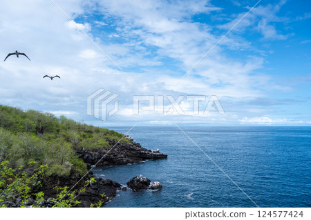 Coastal view from San Cristobal Island, Galapagos Archipelago 124577424