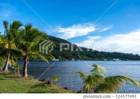 Coastline and Mountains on Tahaa Island, French Polynesia 124577491