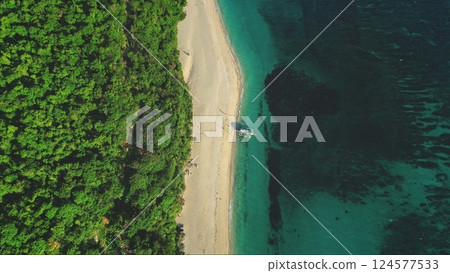 Turquoise water gently washing over a white sand beach, bordered by lush tropical forest, with a traditional outrigger boat anchored near the coast in an aerial view of a remote island 124577533