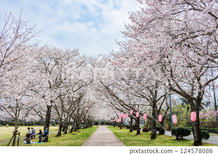 春天的忠本公園,櫻花盛開,景色優美 春天的忠本公園,櫻花盛開,景色優美 124578086