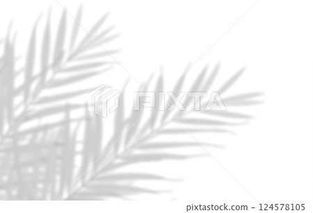 Palm leaf shadow isolated on white background, tropical plant silhouette, natural pattern, exotic foliage, bright sunlight effect 124578105