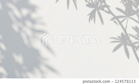Shadow of leaves isolated on white background, botanical silhouette, plant shapes, natural texture, abstract pattern, outdoor atmosphere, sunlight effect, greenery, soft shadow 124578113