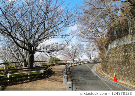 輕鬆健行路線的風景 124578128