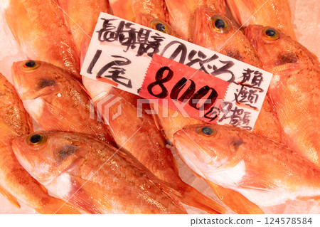 Blackthroat seaperch for sale at Nakaminato Fish Market 124578584