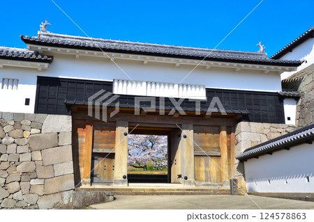 世界遺產的美麗大門 124578863