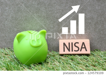 NISA image: piggy bank 124579109