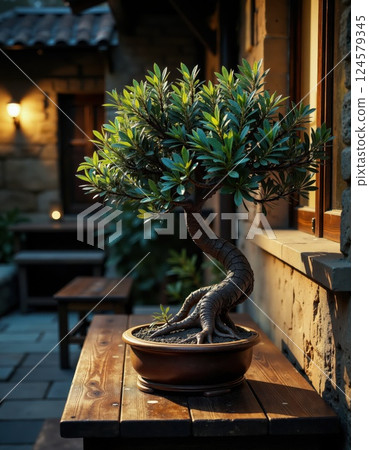 Tranquil evening patio with illuminated bonsai tree for zen-themed decor and meditation spaces 124579345
