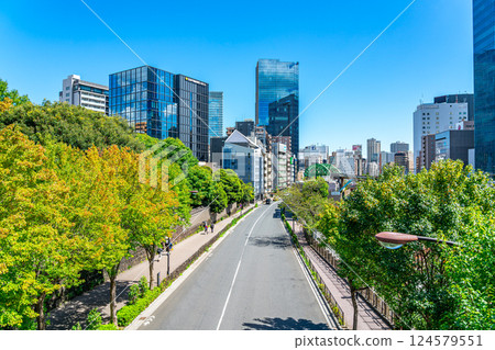 [Tokyo] The streetscape of Ochanomizu as seen from Hijiri Bridge 124579551