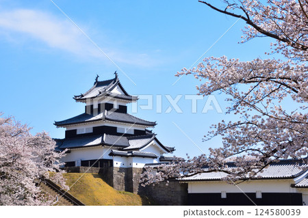 櫻井白川小峰城 124580039