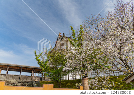 [靜岡縣] 駿府城公園、駿府城巽塔、櫻花季 124580068