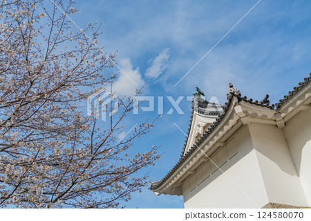 [Shizuoka Prefecture] Sunpu Castle Park, Sunpu Castle Tatsumi Tower, Cherry Blossom Season 124580070