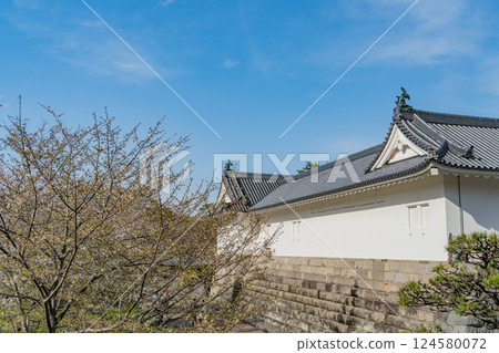 [Shizuoka Prefecture] Sunpu Castle Park, Sunpu Castle Tatsumi Tower, Cherry Blossom Season 124580072