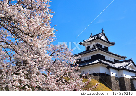櫻花景，白川小峰城，三樓砲塔 124580216