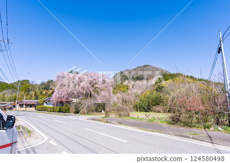 原田家的垂枝櫻花樹在春天的天空的襯托下巍峨聳立。 「據說這棵垂枝櫻花樹是承仙寺的垂枝櫻花樹的幼苗。」宮崎縣西臼杵郡五瀨町 原田家的垂枝櫻花樹在春天的天空的襯托下巍峨聳立。 「據說這棵垂枝櫻花樹是承仙寺的垂枝櫻花樹的幼苗。」宮崎縣西臼杵郡五瀨町 124580498