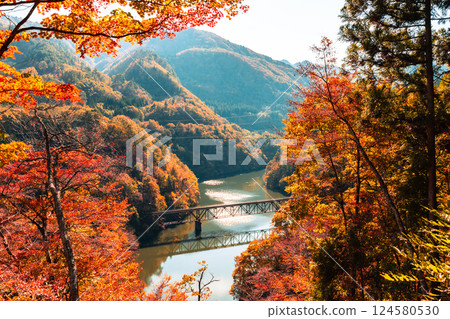 Fukushima, JAPAN - Nov 10, 2024: Tadami line railroad bridge across Tadami river in Fukushima 124580530