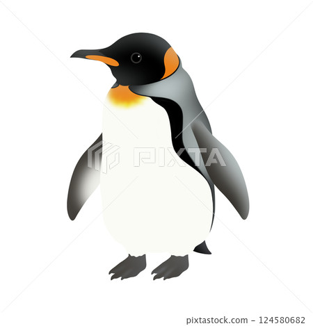 Cute King Penguin Illustration 124580682