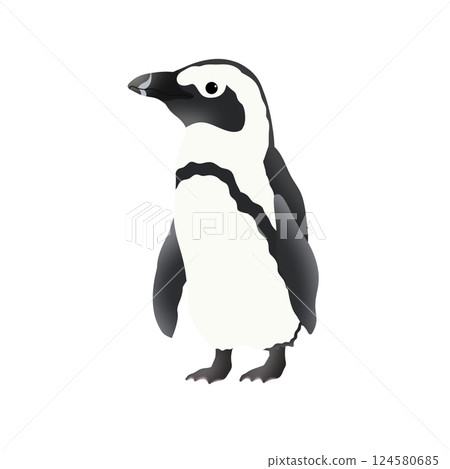 Cute Cape Penguin Illustration 124580685