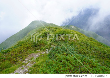 從大朝日山頂俯瞰中鶴山脊 從大朝日山頂俯瞰中鶴山脊 124580813